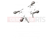 Indicators - Triumph TF450-E 2026