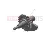 Balancer - Triumph TF250-C 2026