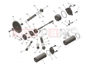 Lubrication System - Triumph TF450-E 2025