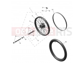 Front Wheel - Triumph TF450-E 2026
