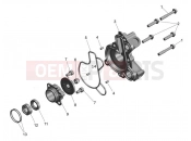 TRIUMPH SCRAMBLER 400 XC Coolant Pump