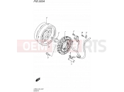 SUZUKI LS650 L5 (2015) Savage (E24) 303A - MAGNETO