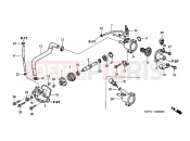 HONDA NES150Y @150 2000 E-6 WATER PUMP