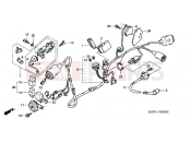 HONDA NES150Y @150 2000 F-25 WIRING HARNESS