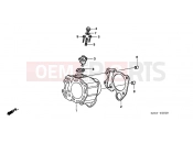 HONDA FES2501 Foresight 2001 E-5 CYLINDER