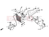 HONDA FES1505 Pantheon 2005 F-30 RADIATOR