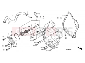 HONDA SH3007 SH300 Sports 2007 E-6 RIGHT CRANKSHAFT COVER / WATER PUMP