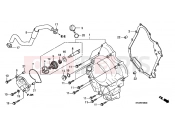 HONDA SH300R9 SH300i Sports 2009 E-6 RIGHT CRANKSHAFT COVER / WATER PUMP