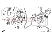 HONDA SRX50X Shadow 50 1999 F-24 WIRING HARNESS / IGNITION COIL