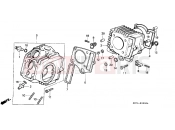 HONDA C70ZC C70 1982 E-2 CYLINDER / CYLINDER HEAD