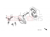 HONDA CBF2504 CBF250 2004 F-11 REAR BRAKE PANEL
