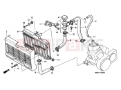 HONDA NSR125RX NSR125R 1999 F-32 RADIATOR