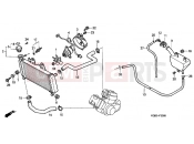 HONDA VT125C2Y Shadow VT125C 2000 F-30 RADIATOR