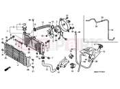 HONDA CB600FX CB600F Hornet 1999 F-31 RADIATOR