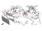 HONDA CBF600N9 CBF600 2009 F-33 ​​RADIATOR