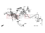 HONDA CBF600SA4 CBF600S ABS 2004 F-32 RADIATOR (CBF600S / SA)