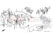 HONDA CBR600FS1 CBR600F Special Edition 2001 F-31 RADIATOR
