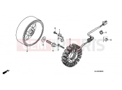 HONDA CB900F5 Hornet 900 2005 E-9 GENERATOR