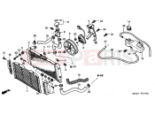 HONDA CB900F5 Hornet 900 2005 F-31 RADIATOR