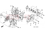 HONDA VFR800FIW INTERCEPTOR 1998 E-8 B. COVER / WATER PUMP