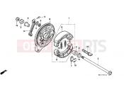 HONDA VT600CK Shadow 1989 F-11 REAR BRAKE PANEL