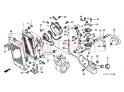 HONDA VT750DC2 Shadow 2002 F-30 RADIATOR