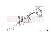 HONDA XLR125RW XLR125R 1998 F-11 REAR BRAKE PANEL