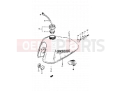 SUZUKI TS50ERK D (1983) 43 - FUEL TANK (MODEL D)
